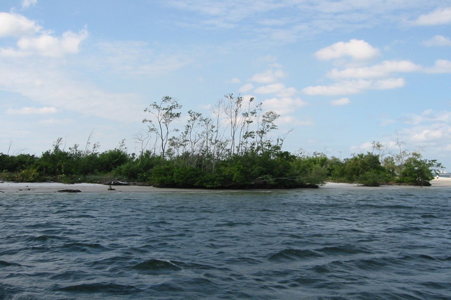 ../image/scenery on the boat trip.jpg